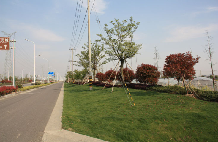 通途路景观绿化工程